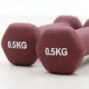 Hantle Neoprenowe Molti 2x0,5kg Burgund - Zestaw do Fitness i Jogi